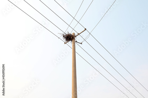 The bird's nest on the pole