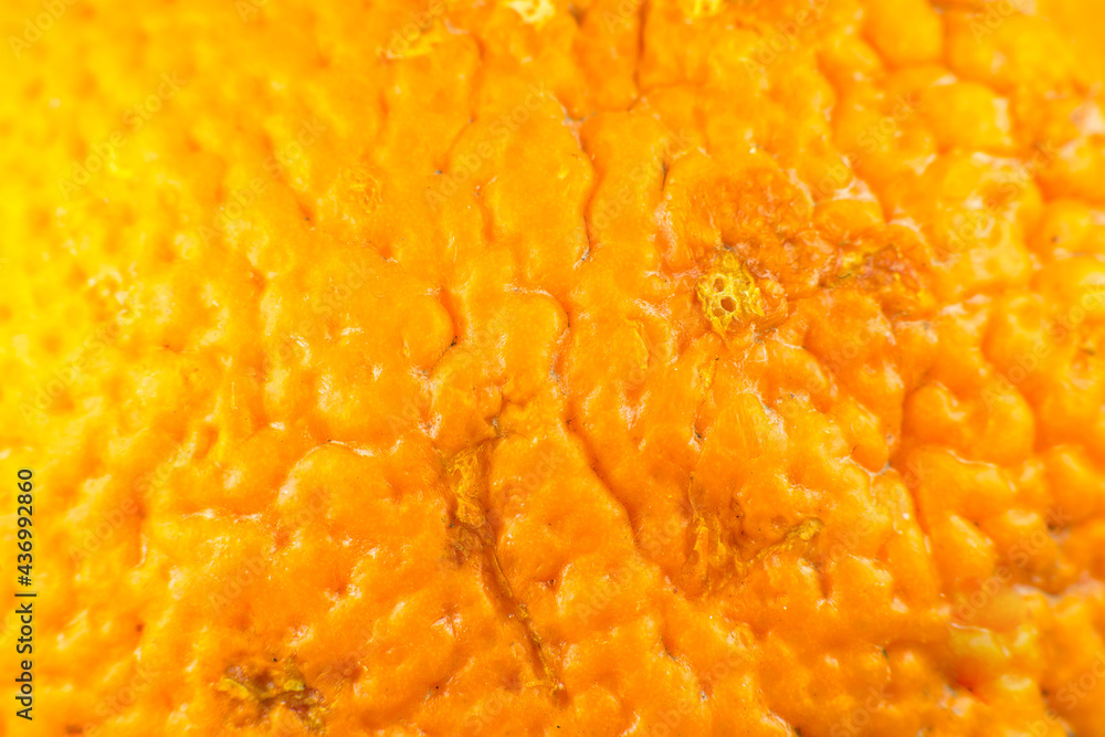 Close up photo of orange peel texture. Oranges ripe fruit background, macro view. .Human skin problem concept, acne and cellulite. Close up photo of orange peel texture. Oranges ripe fruit background, macro view. .Human skin problem concept, acne and cellulite.