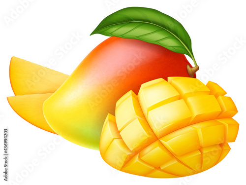 Fresh ripe mango: whole, half and slices isolated on white background. Vector illustration.