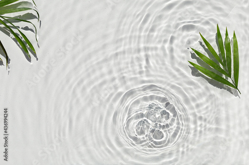 Abstract water texture with circles and palm leaf