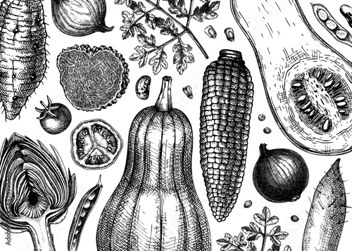 Hand-sketched vegetables vector background. Healthy food ingredients banner template. Vintage vegetables, herbs, mushrooms illustrations for menu, web banner, recipes, branding.