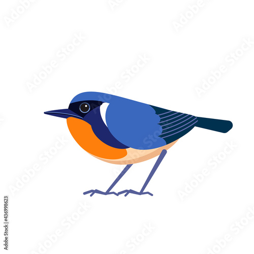 Firethroat bird also known as David's rubythroat or Père David's orangethroat is a species of passerine bird in the family Muscicapidae. Calliope pectardens. Cartoon flat style vector illustration