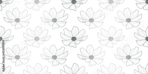Garden cosmos flower vector pattern background, floral design