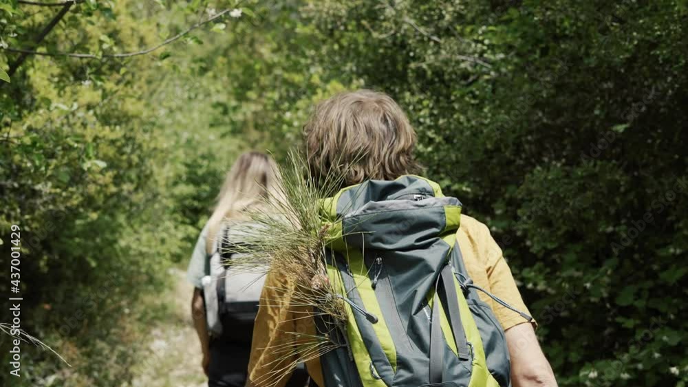 Couple backpackers walking by forest's thick trees path, rear view Couple backpackers walking by forest's thick trees path, rear view
