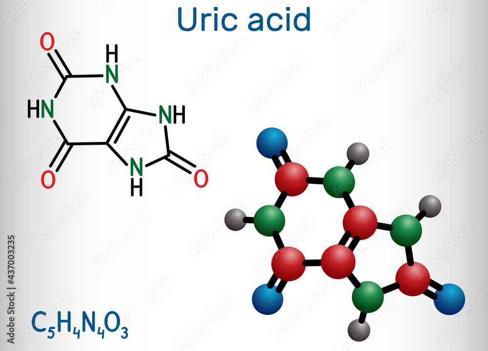 Uric acid molecule. It is heterocyclic compound, crystalline product of  protein metabolism, found in the blood and urine. Structural chemical  formula and molecule model Stock Vector | Adobe Stock