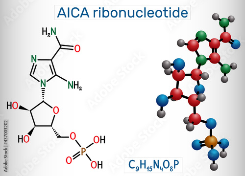 AICA ribonucleotide, AICAR molecule. It is aminoimidazole, cardiovascular drug, plant and human metabolite. Structural chemical formula and molecule model