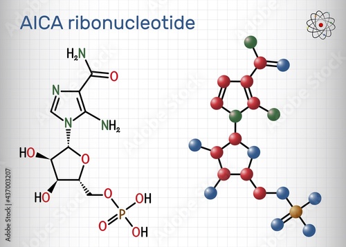AICA ribonucleotide, AICAR molecule. It is aminoimidazole, cardiovascular drug, plant and human metabolite. Sheet of paper in a cage. Vector illustration