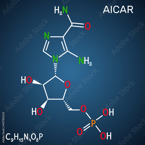 AICA ribonucleotide, AICAR molecule. It is aminoimidazole, cardiovascular drug, plant and human metabolite. Structural chemical formula on the dark blue background