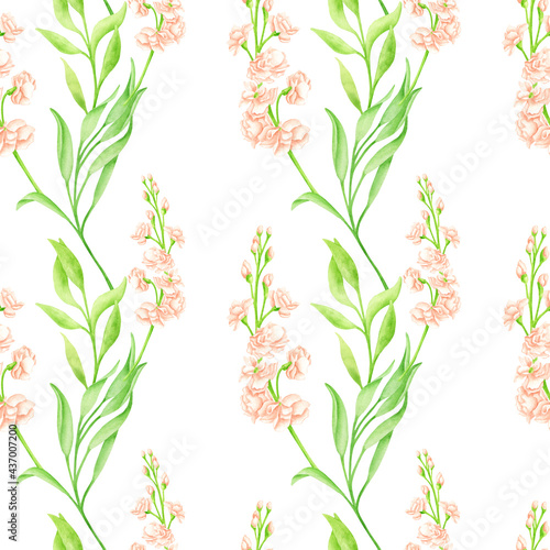 Watercolor floral seamless pattern with blush matthiola flower and leaves. Hand drawn cream rose flower heads on green stem isolated on white. Elegant greenery background for wallpaper, fabrics.