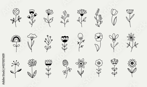 Wild flowers set botanical herb elements, hand drawn style, vector illustration