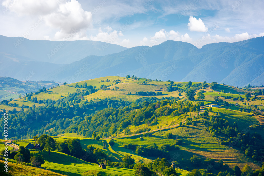 Fototapeta premium mountainous countryside landscape. hill with trees on rural fields rolling in to the distant ridge beneath a bright sky with clouds. wonderful summer scenery in morning light