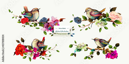 Wren birds on branches with leaves. Set of four pictures. Hand drawn, watercolor, isolated on white. Vector - stock.