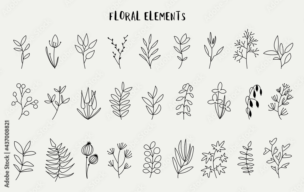 Floral elements for design, elegance leaves, and flowers set, hand drawn style, vector illustration Floral elements for design, elegance leaves, and flowers set, hand drawn style, vector illustration