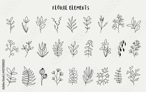 Floral elements for design, elegance leaves, and flowers set, hand drawn style, vector illustration 