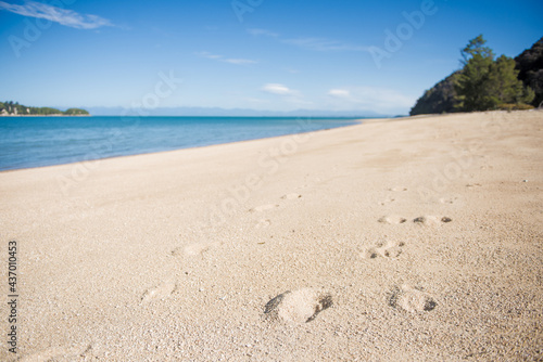 Footprints on Abel Tasman Coast Track, Abel Tasman National Park, New Zealand