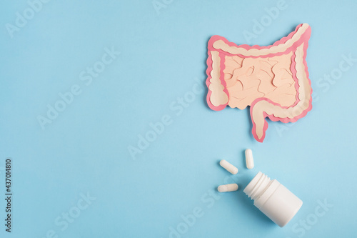 Intestine decorative model with pills on light blue background. Probiotics and prebiotics for microbiome intestine, healthy digestion concept. Top view, flat lay, copy space photo