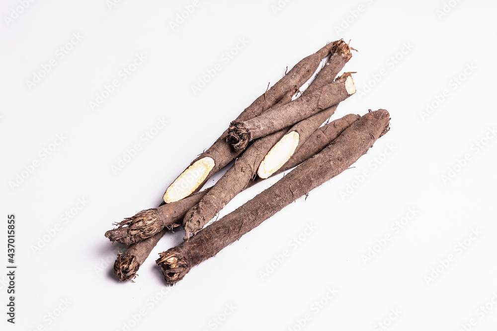 Raw Scorzonera or Spanish salsify isolated on white background Raw Scorzonera or Spanish salsify isolated on white background