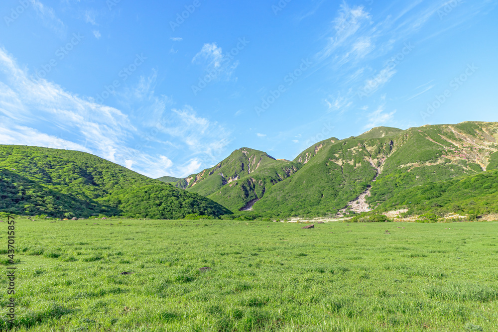 初夏の坊ガツルと白口岳　くじゅう連山　大分県　Early summer Bougatsuru and Mt.Shirakuchidake Kuju mountain range Ooita-ken