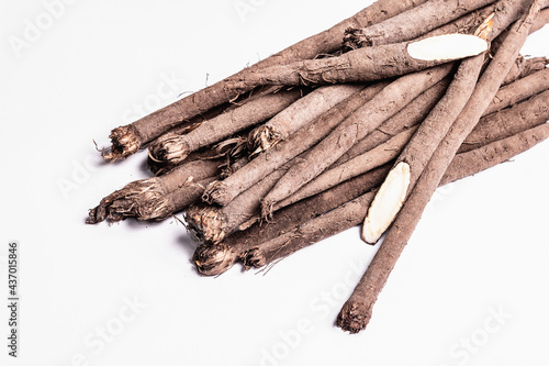 Raw Scorzonera or Spanish salsify isolated on white background photo