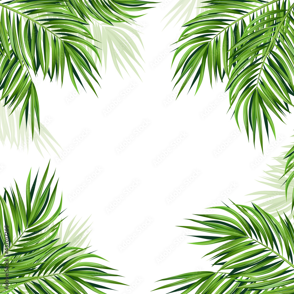 Coconut Tree Leaf Template Coconut Tree Leaf Template