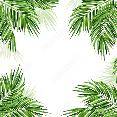 Frame of palm leaves with white background in the middle. Saturated and bright green banner or template with coconut leaves. Tropical leaf for your design. Vector illustration. 