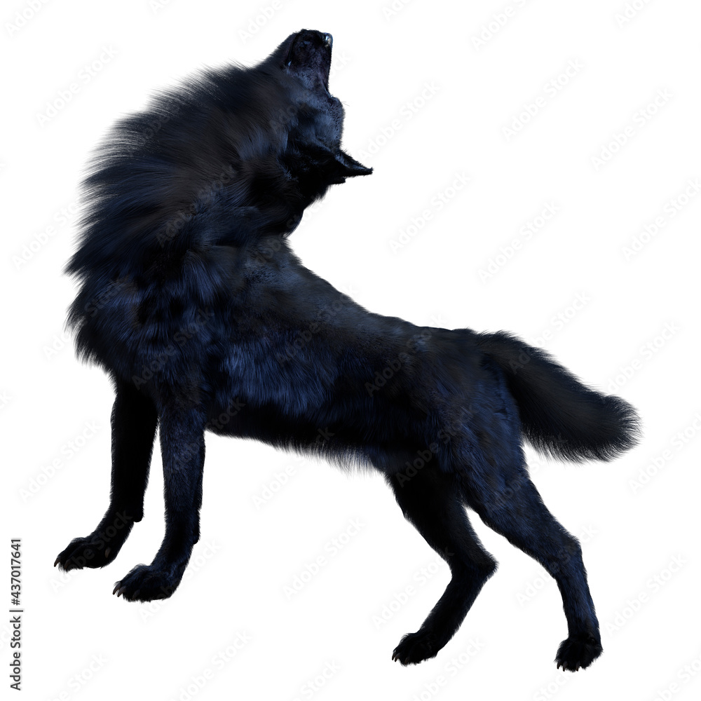 3D Rendering Black Wolf on White 3D Rendering Black Wolf on White