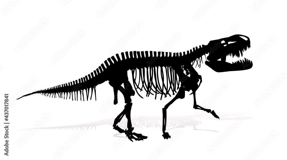 The Skeleton of ancient big dinosaur.
The Skeleton of ancient big dinosaur.