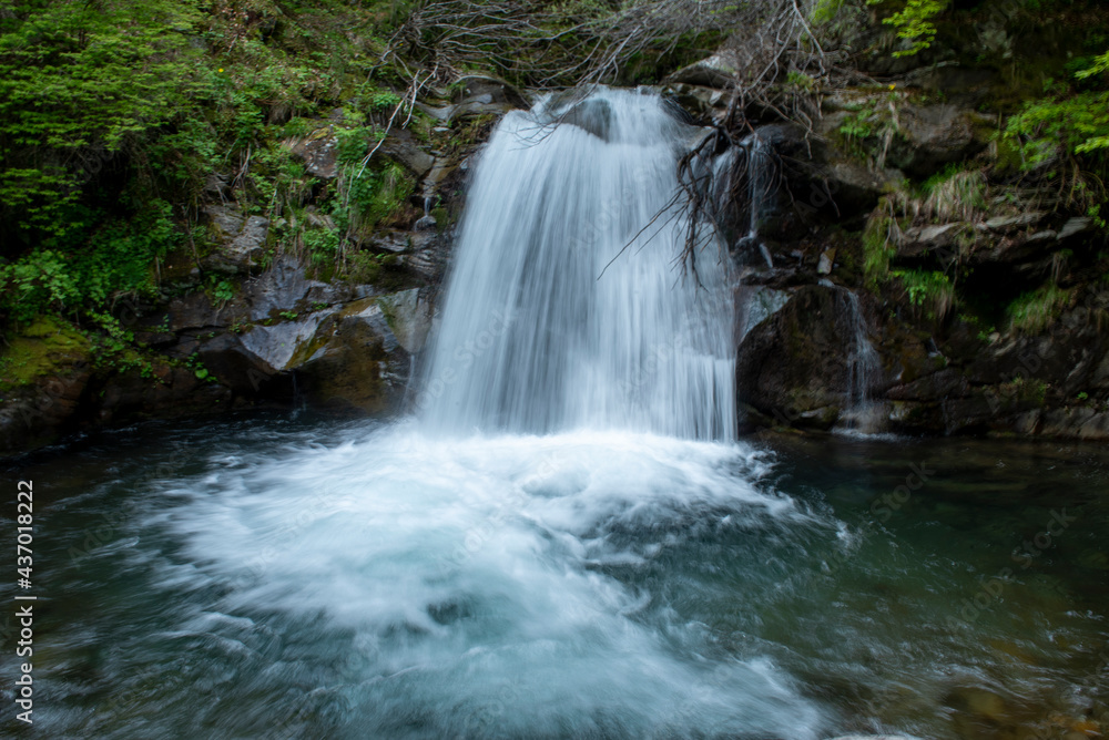 waterfall in the forest