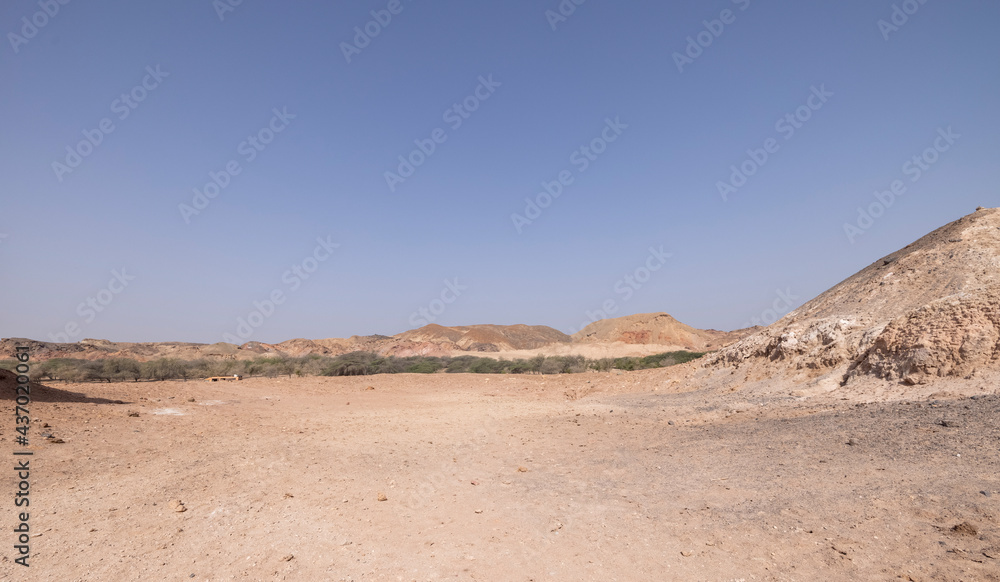 Dry and arid landscape of Sir Bani Yas Island in the Arabian Gulf, Abu Dhabi Dry and arid landscape of Sir Bani Yas Island in the Arabian Gulf, Abu Dhabi