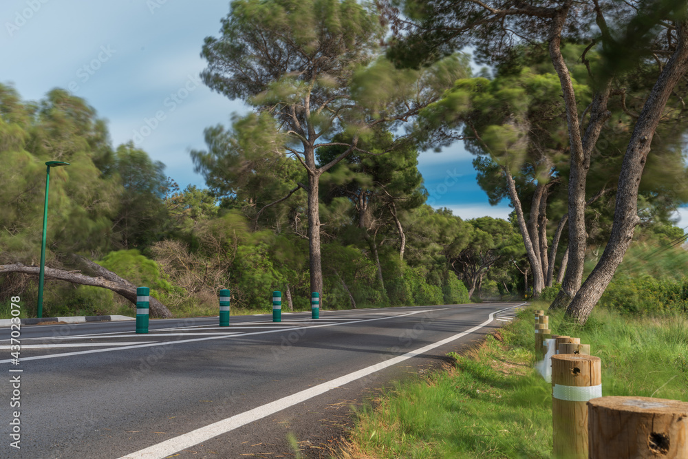 Isolated road long exposure with blurred motion Isolated road long exposure with blurred motion