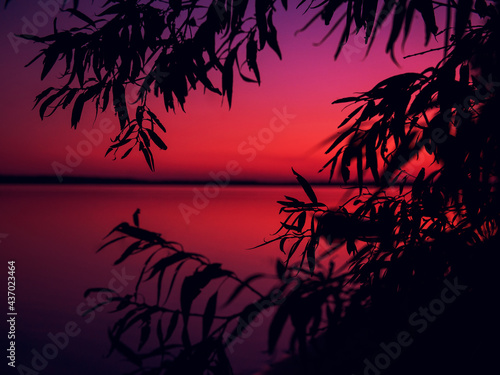 night on the lake  fading bright red sunset. view of the horizon through the thickets on the shore. perfect for covers screensavers phones and computers. poster  banner advertising of a travel company