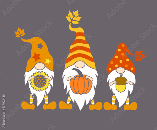 .Three Fall Gnomes. Holiday card. Vector design..