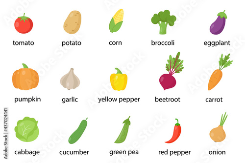 Set of colorful healthy vegetables with names. Vector illustrations.