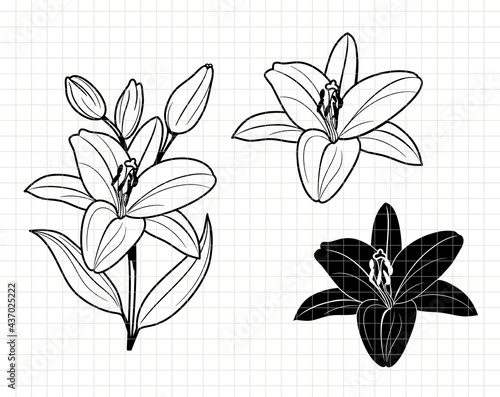 Lily simple design. Flower. Minimal summer spring decoration. Silhouette vector flat illustration. Cutting file. Suitable for cutting software. Cricut, Silhouette