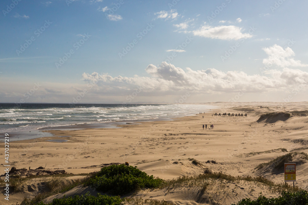 Looking over sand dunes and ocean at Stockton and Birubi Beach, Anna Bay, Port Stephens Looking over sand dunes and ocean at Stockton and Birubi Beach, Anna Bay, Port Stephens