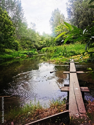 logs for walking across the river 