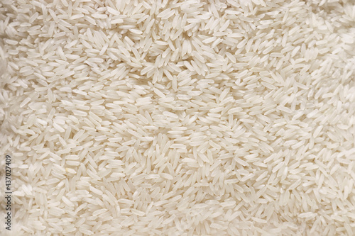 Raw rice Oryza sativa