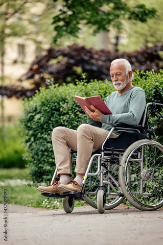Happy senior man, reading in the park, in his wheelchair. © bnenin