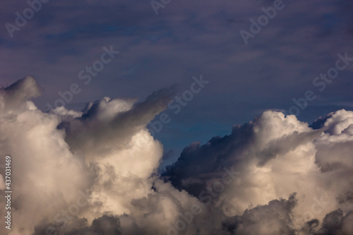 Cumulus at sunset. Sky and clouds background