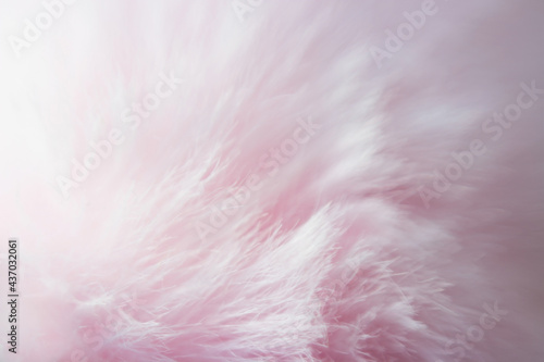 Canvas-taulu Blurred light pink artificial fur in soft color for background