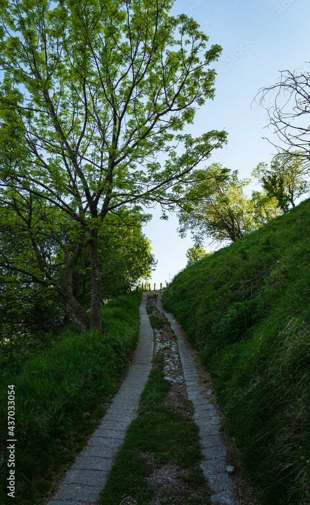 The woods and nature of the Lombard pre Alps in spring near the 