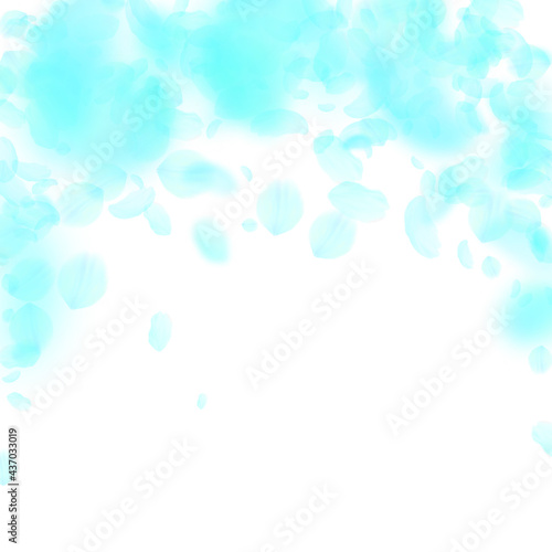 Turquoise flower petals falling down. Tempting rom