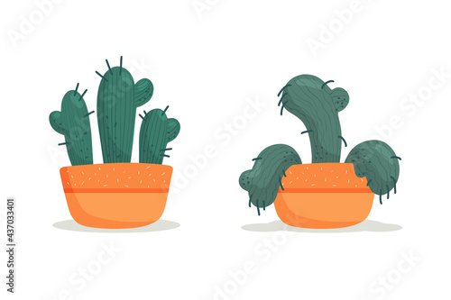 Stages of withering, a wilted cactus in a vase, abandoned plant without watering and care. Succulent dying. Vector illustration, handdrawn organic flat style