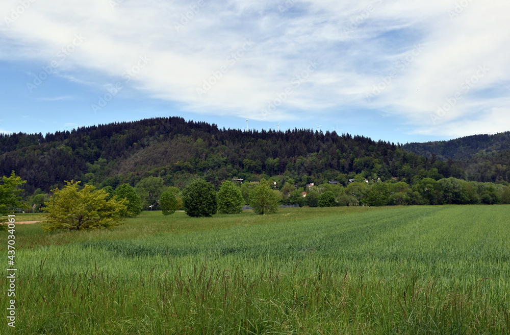 Schwarzwaldfrühlingslandschaft im Dreisamtal