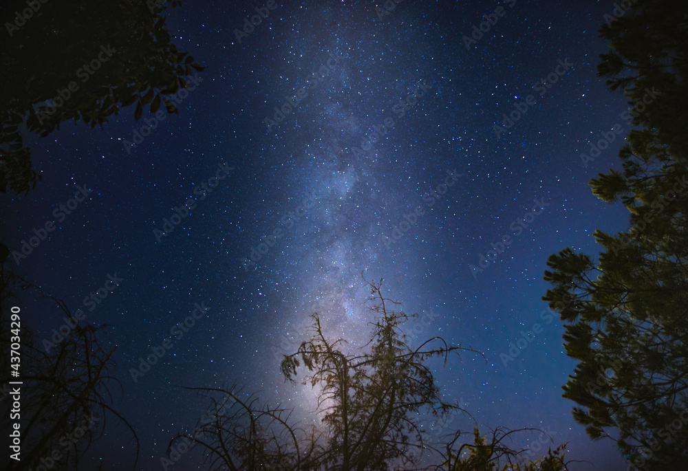 Fototapeta premium night sky with stars