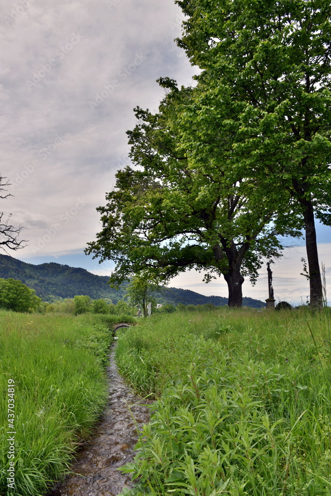 Schwarzwaldfrühlingslandschaft im Dreisamtal