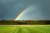 Rainbow over the forest and green meadow, Czulczyce, Poland
