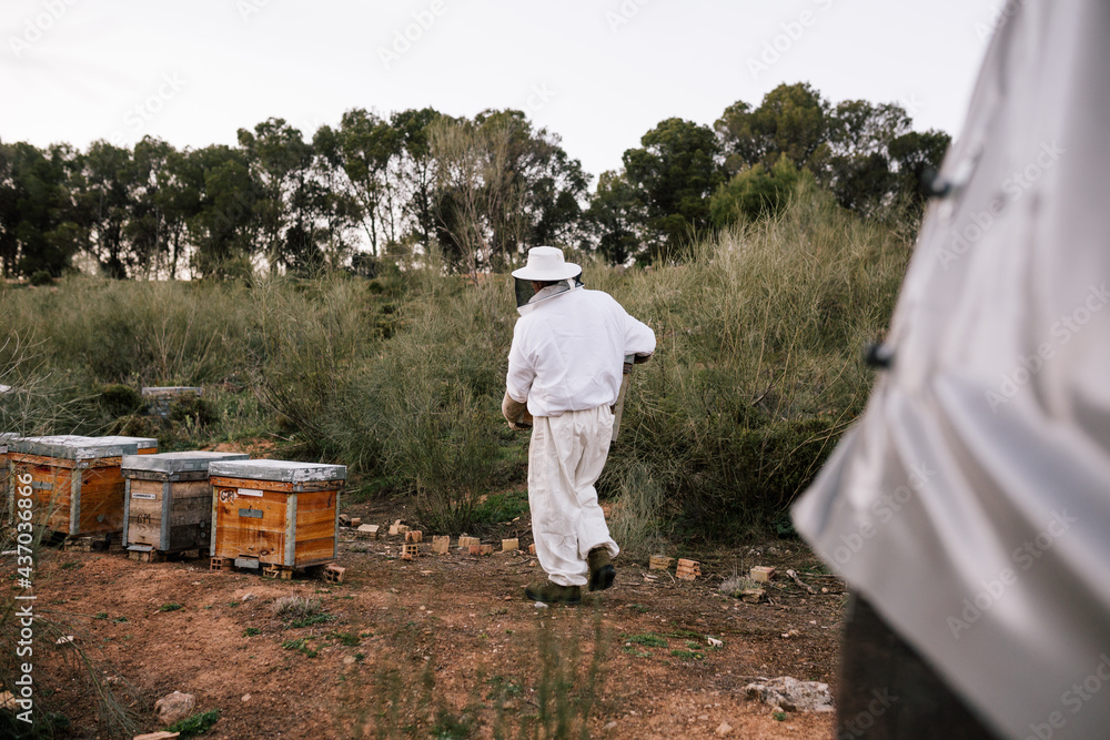 Beekeeper carrying beehive in apiary Beekeeper carrying beehive in apiary