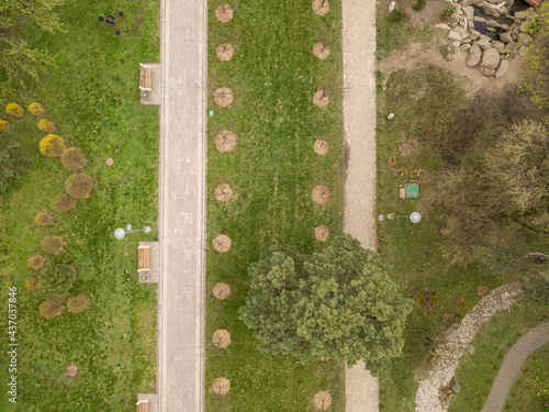 Walking paths in the park in spring. Aerial drone view.