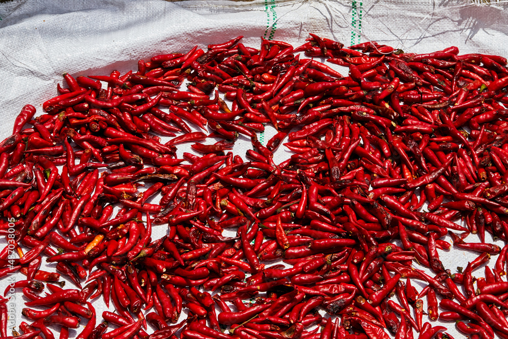Fototapeta premium red chili peppers on the white fertilizer bag